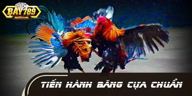 Tiến hành băng cựa chuẩn chỉnh để chiến kê dễ dàng di chuyển