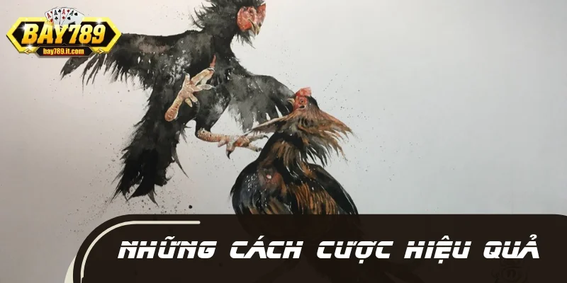 Những cách đặt cược chọi gà C1 tại nhà cái đang thịnh hành