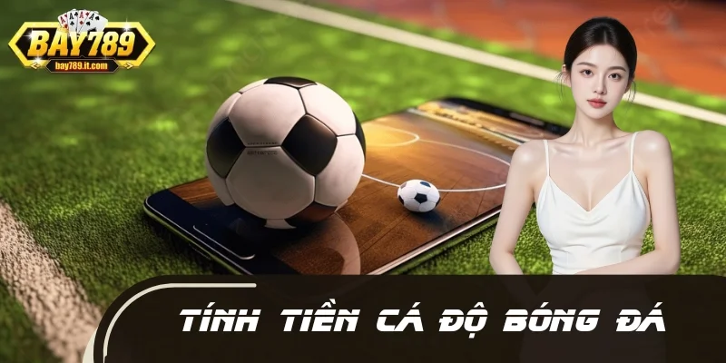 Cách Tính Tiền Cá Độ Bóng Đá Chuẩn Nhất Cho Người Chơi Mới