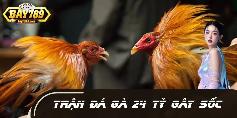 Chấn Động: Trận Đá Gà 24 Tỷ Gây Sốc Giới Đỏ Đen Việt Nam