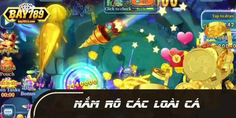 Newbie nắm rõ các loài cá để tự tin săn thưởng