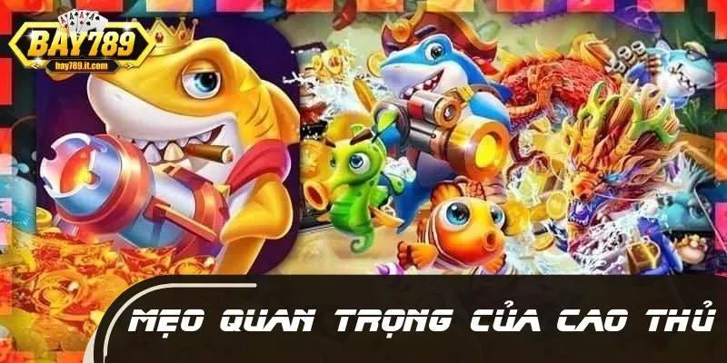 Mẹo quan trọng của cao thủ giúp bạn dễ thắng đậm