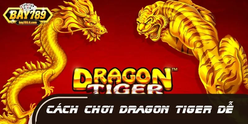 Cách chơi Dragon Tiger từng bước chuẩn và dễ nắm nhất