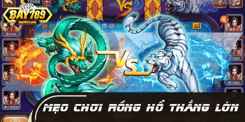 Mẹo chơi Rồng Hổ hỗ trợ bạn kiếm tiền đều đặn hằng ngày